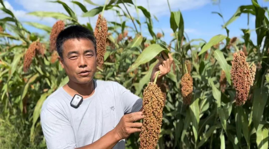 澳门游戏手机游戏下载
